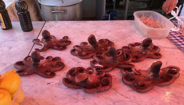 Octopi for sale at the Ballaro Market, Palermo, Sicily.