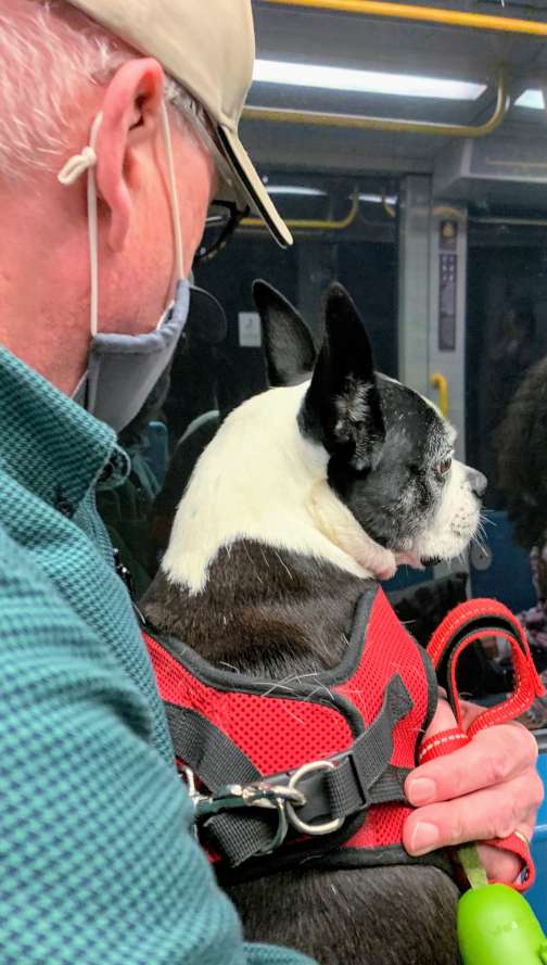 Sox and Mike riding the Metro in Porto