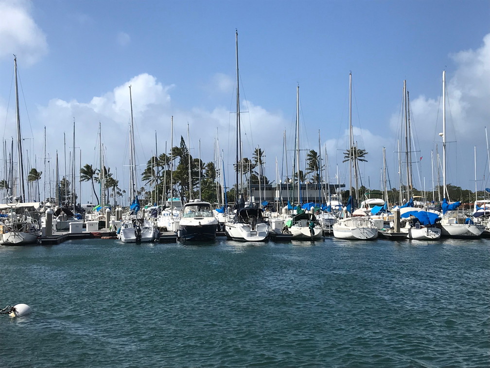 A view of the Honolulu, Hawaii harbor.