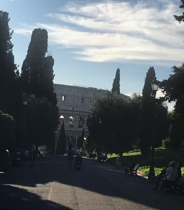 A view from the park near the Colosseum in Rome.