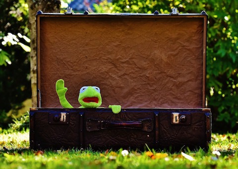 Kermit the Frog in a suitcase