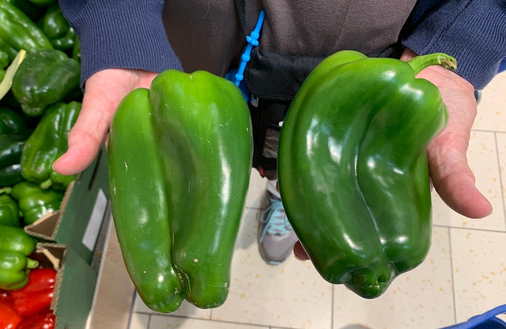 Two large green peppers