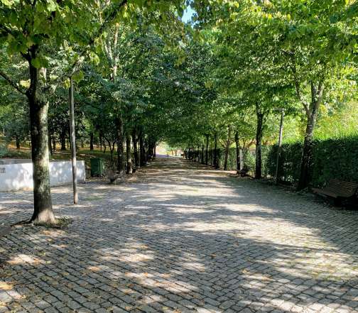 A shady lane at Parque do Covelo in Porto