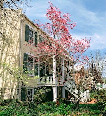 Spring buds in St. Charles, Missouri