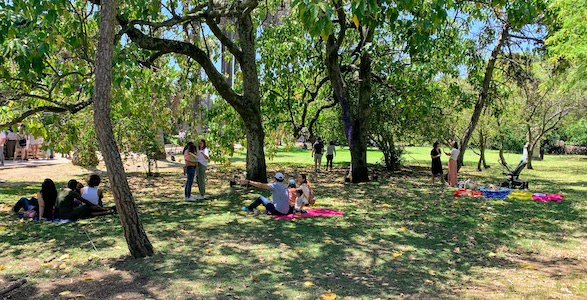 People enjoying the Tropical Botanical Garden during Foodtopia in Lisbon