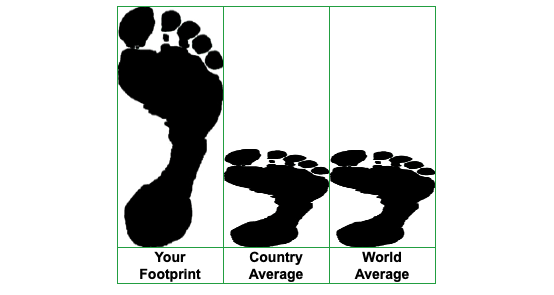 A graphic illustrating our carbon footprint in relation to the averages for Portugal and the world