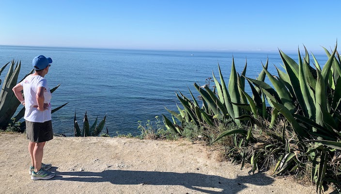 Giant aloe plants along the coast at São Pedro