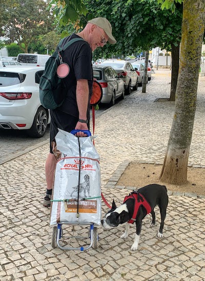 Mike and Sox hauling dog food on our grocery cart