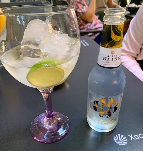 8946 - Bulldog Gin and Tonic A Bulldog gin and tonic at Babilonia bar in Valencia.