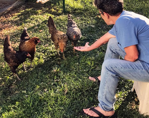 Mary feeding raisins to our chickens back in Indiana.