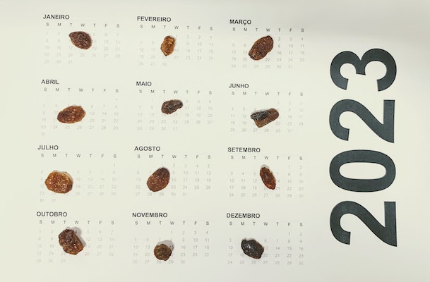 A calendar with a raisin placed on every month.