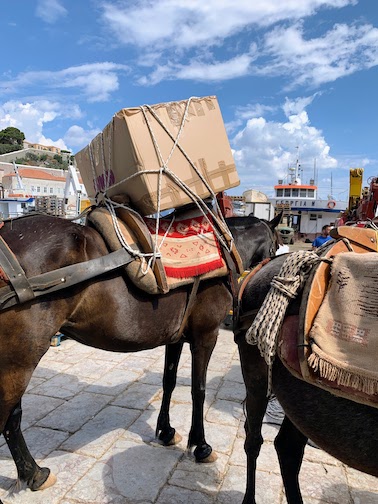 7706 - Donkey loaded A donkey loaded with a box tied to its saddle.