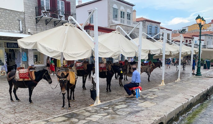 9832 - Donkeys at the harbor Donkeys waiting for work at the port in Hydra.