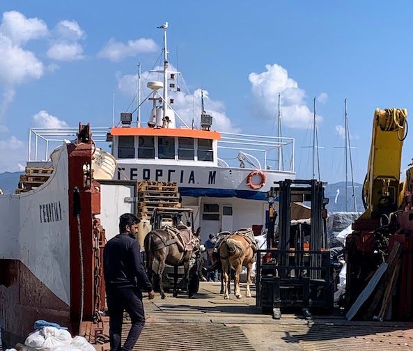 9853 - Donkeys on the ship Donkeys being loaded with cargo on a ship in Hydra port.