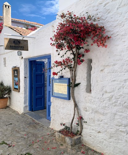 9858 - Restaurant exterior - white and blue The exterior of a restaurant on Hydra with whitewashed walls and blue trim, accented by a red flowering tree.