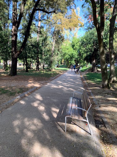 A shady path and a bench in the Jardim Mário Soares in Lisbon.