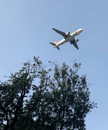 An airplane flying low over the Jardim Mário Soares as it approaches the Lisbon airport.