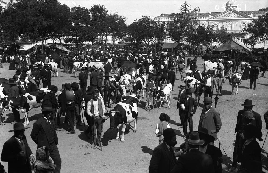 An early 20th Century cattle fair held at Campo Grande.