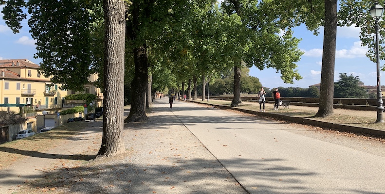 The pedestrian walkway on top of the wall. There are mature trees on either side.