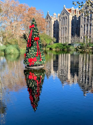 A Christmas tree in the lake at Parque Dom Carlos I, Caldas da Rainha, Portugal, December, 2023.