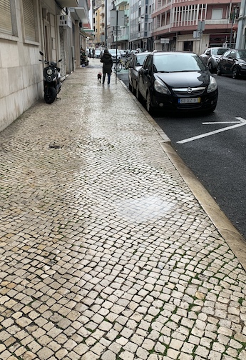 Wet cobblestones (calçadas) on a Lisbon sidewalk.