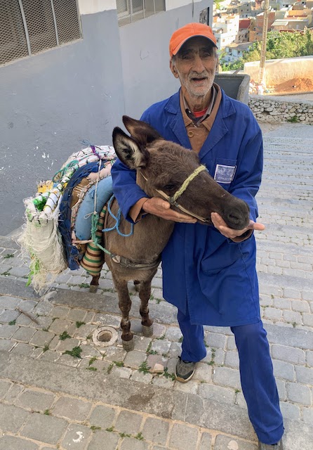 The man and his donkey who carried luggage for us in Moulay Idriss.