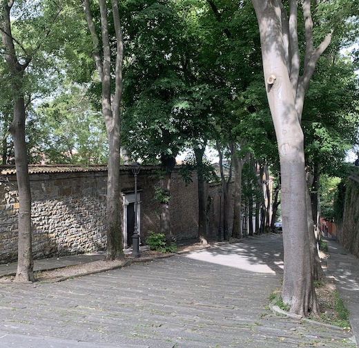 The Via S. Giusto - the tree-lined, cobblestone street that leads to the cathedral.