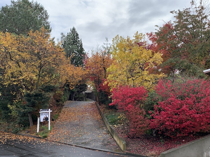 Our property seen from the street. The lot is full of trees with brightly colored leaves.