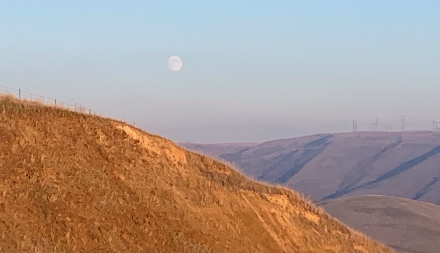 A full moon seen during the daytime over the Palouse hills.