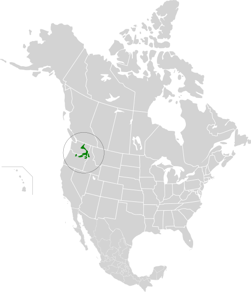 A map showing the location of the Palouse.