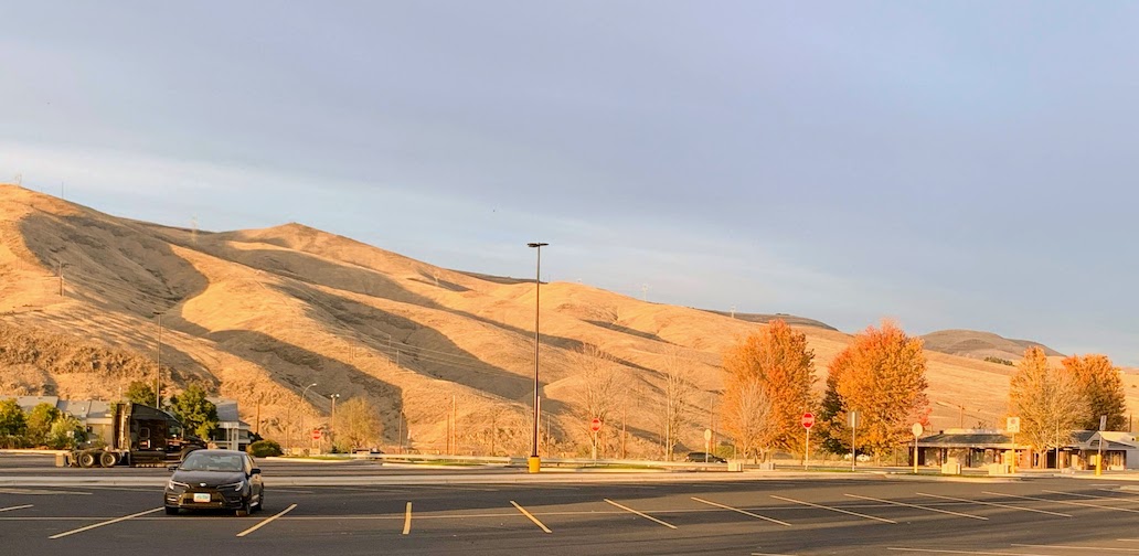 A view of the Palouse in late afternoon, when the hill appears to be a glowing golden color.