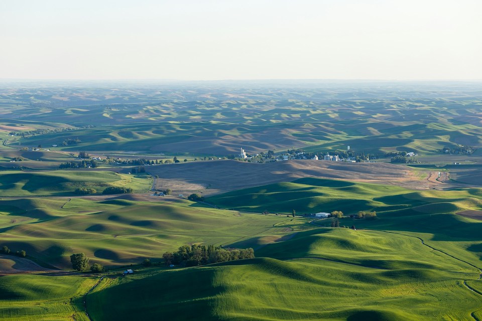 The Palouse Hills as viewed from Steptoe Butte State Park in Garfield, Washington